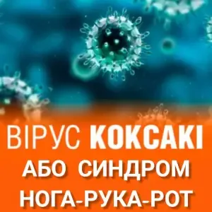 Вірус Коксакі: симптоми та профілактика